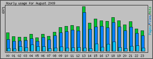 Hourly usage