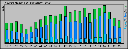 Hourly usage