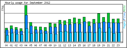 Hourly usage