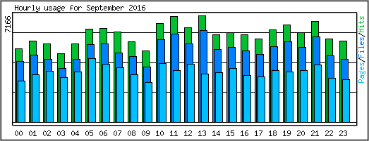 Hourly usage