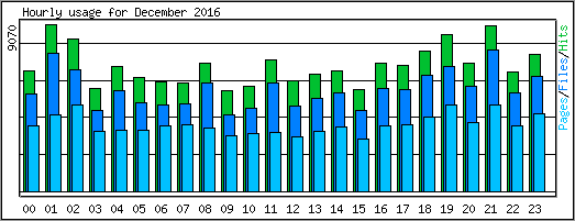 Hourly usage