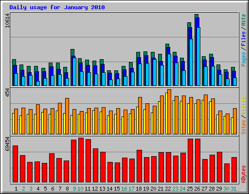 Daily usage for January 2010