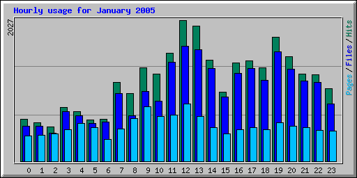 Hourly usage for January 2005