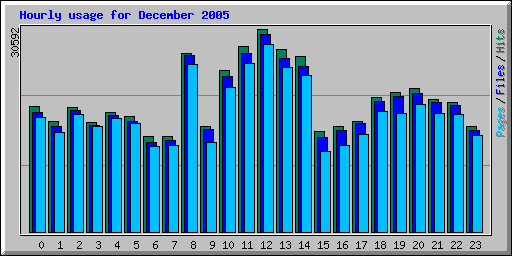 Hourly usage for December 2005