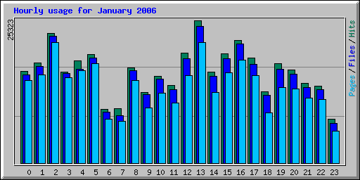 Hourly usage for January 2006