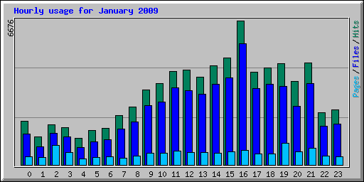 Hourly usage for January 2009