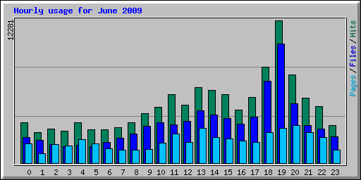 Hourly usage for June 2009