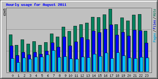 Hourly usage for August 2011