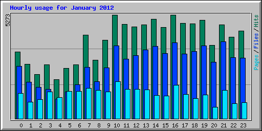 Hourly usage for January 2012