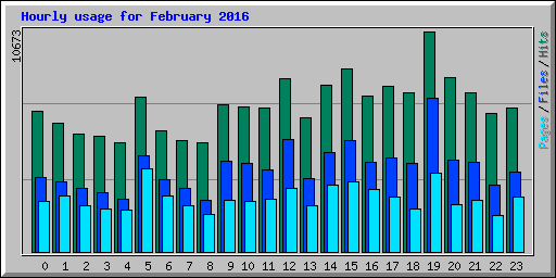 Hourly usage for February 2016