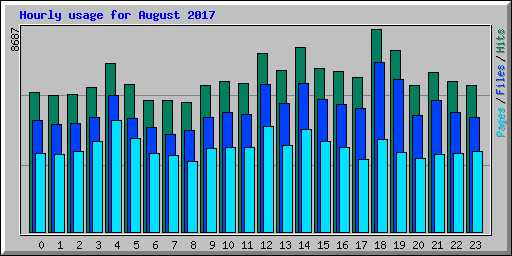 Hourly usage for August 2017